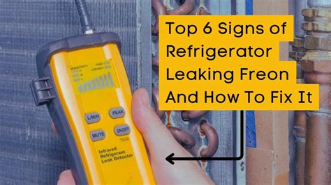 signs of freon leak in refrigerator|Five Signs Your Refrigerator is Leaking Freon